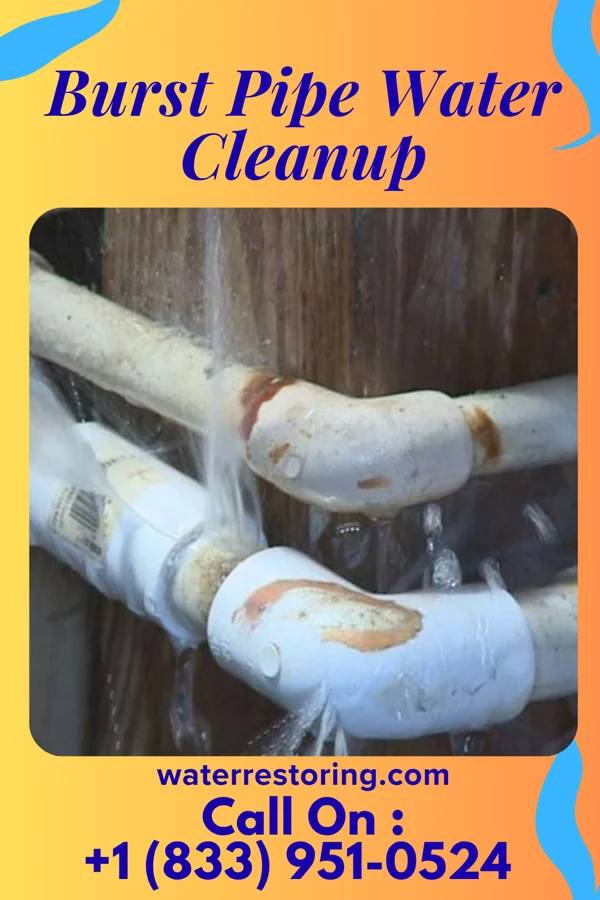 Burst Pipe Water Cleanup in Southaven, MS