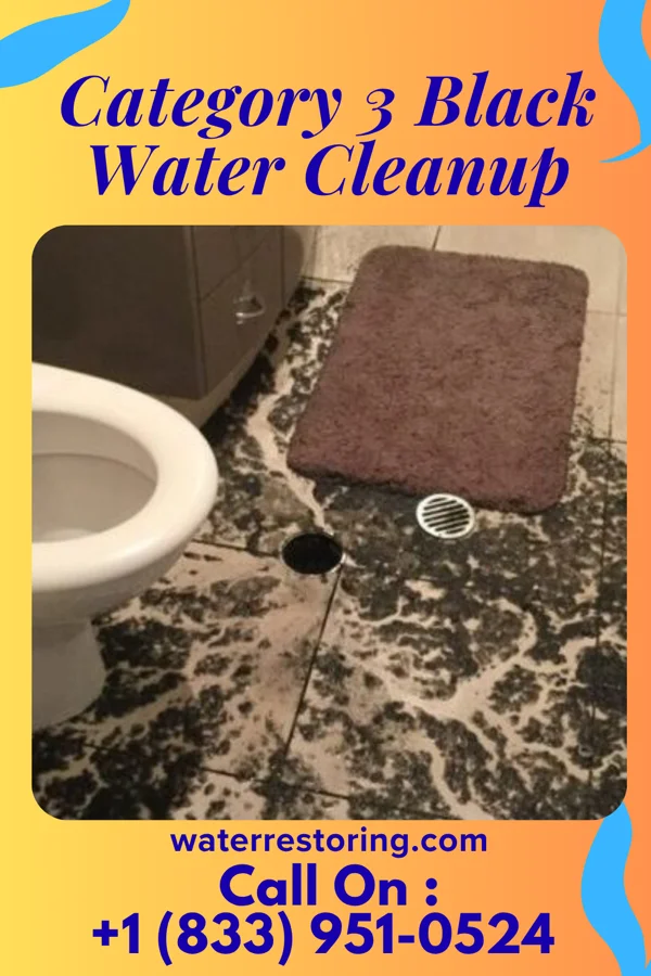 Category 3 Black Water Cleanup in Southaven, MS