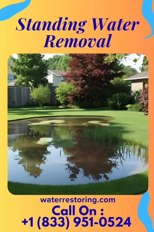 Standing Water Removal in Southaven, MS